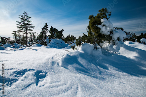 Schneegestöber