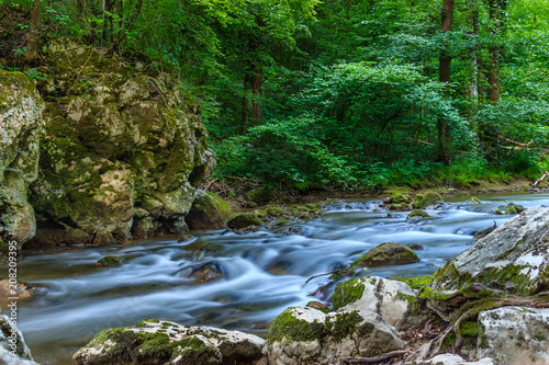 Beautiful mountain river with small cascades surrounded by trees and rocks in Serbia, Europe