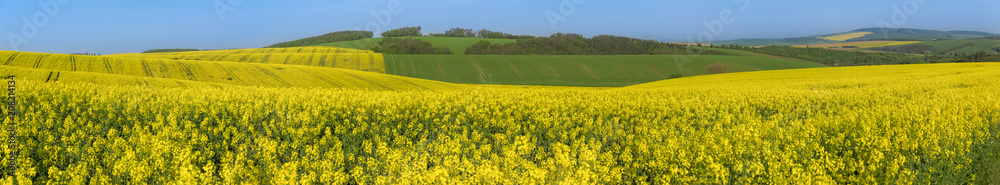 Panorama with yellow and green hills