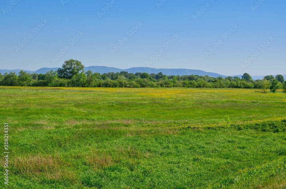 Spring mountain landscape. Green meadows and beautiful hills in the background.