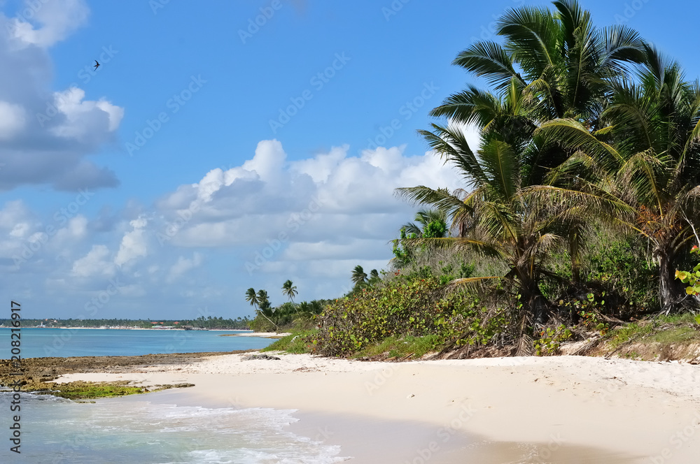 The view on the beautiful tropical beach in East National Park, close Bayahibe, Dominikan Republic The view on the beautiful tropical beach in East National Park, close Bayahibe, Dominikan Republic
