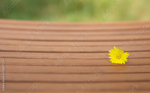 Beautiful yellow flower on wooden table background.