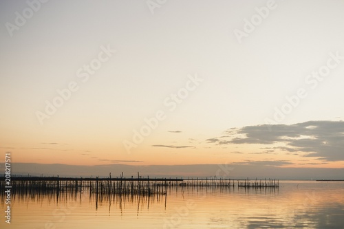 Albufera lake among tranquil woods to relax with calm on vacation