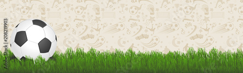 soccer ball with grass with iconic background