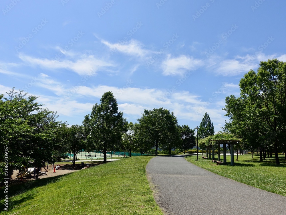 Obraz premium 初夏の公園
