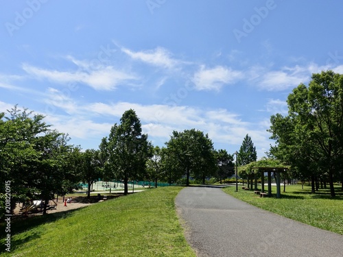 初夏の公園