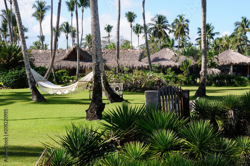 The view on the recreational place in Las Terrenas, Dominikana Republic photo