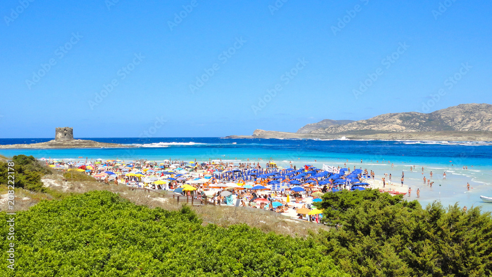 colorful blue paradise beach Stintino with cristal turquoise water and old tower in background in Sardinia, italy                              