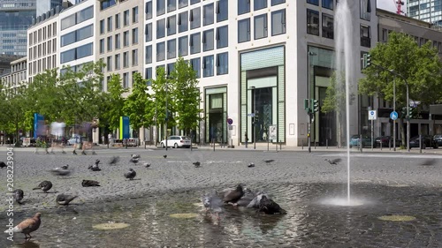 urban city square in Frankfurt Germany with pigeons taking a bath under afountain - time lapse
