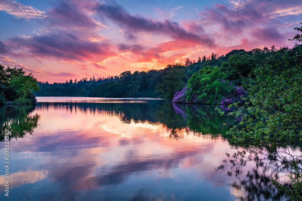Bolam Lake Country Park in Twilight / Bolam Lake Country Park is located in the beautiful Northumberland countryside, it is surrounded by woodland seen here in early summer