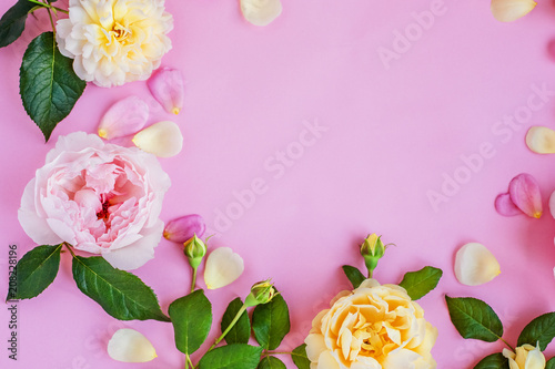Pink and white peonies on a pink background. Pink peonies.