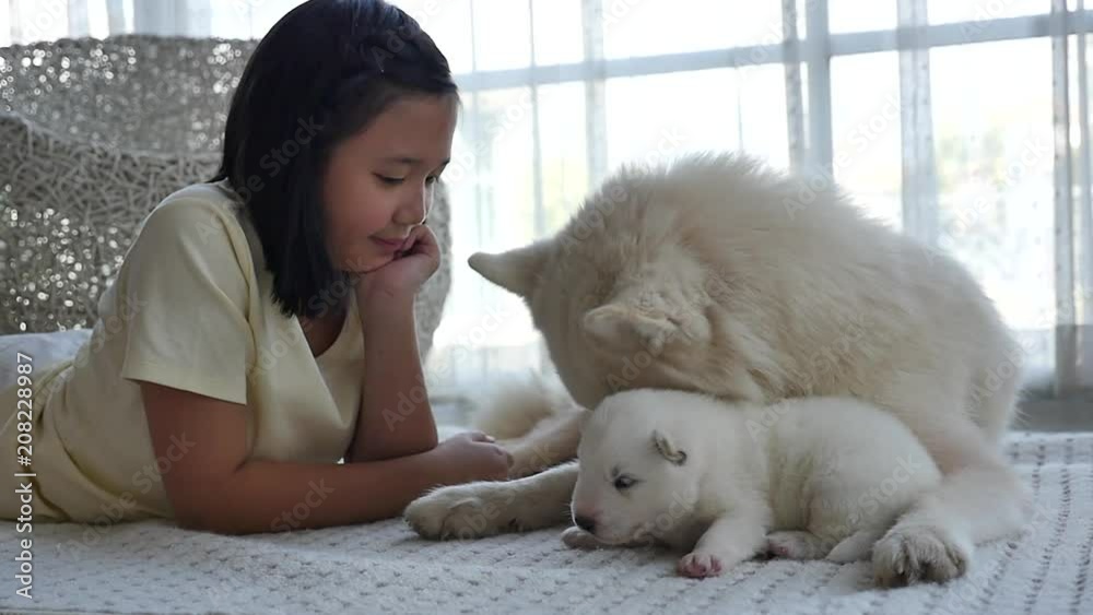 Beautiful asian girl lying with siberian husky puppy slow motion Beautiful asian girl lying with siberian husky puppy slow motion