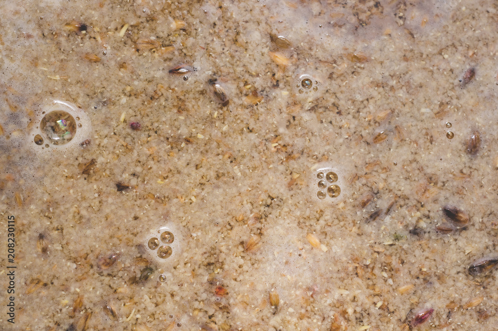 surface of craft beer during mashing process. Craft beer brewing from grain barley pale malt in process. Ale or lager from pilsner malt. surface of craft beer during mashing process. Craft beer brewing from grain barley pale malt in process. Ale or lager from pilsner malt.