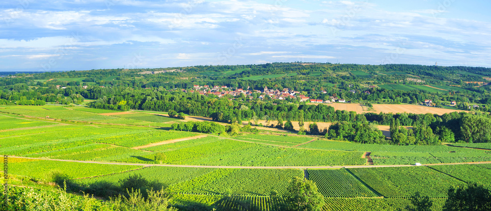 Burgundy - France. Panoramic View of Vineyards near Santenay
