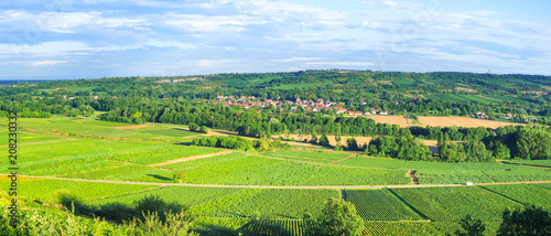 Burgundy - France. Panoramic View of Vineyards near Santenay