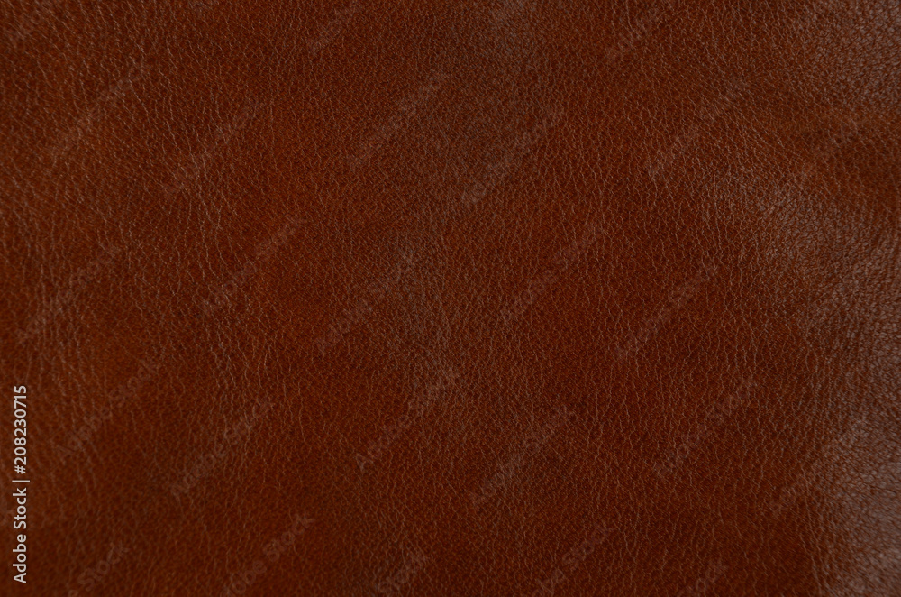 Fototapeta premium Natural leather background