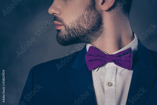 Obraz na plátně Portrait of pretty charming mrs in purple dress with jewelry half face mr in tux