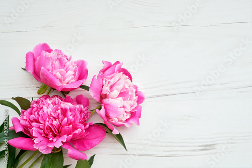 Beautiful pink peonies flowers on white wooden background. Copy space, top view. Greeting card