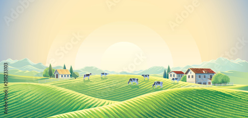 Herd of cows  in summer rural landscape at dawn among fields and pastures. Vector illustration.