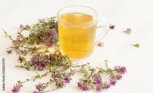 Thymus pulegioides tea and leaves. Tea is effective during diseases of the upper respiratory tract.Medicinal herb .The concept of healthy nutrition. photo