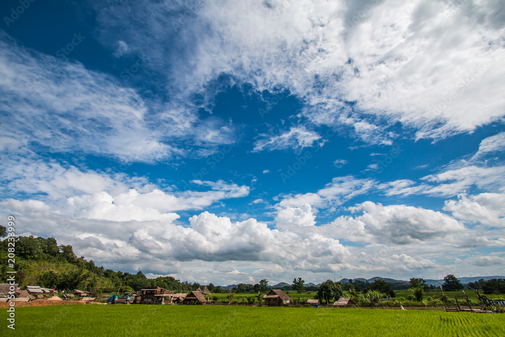 cloud and sky in farm cloud and sky in farm