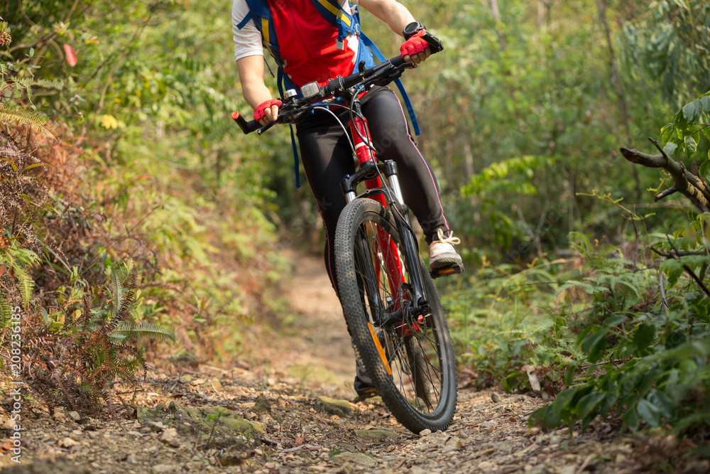 cyclist woman legs riding mountain bike on outdoor trail in forest cyclist woman legs riding mountain bike on outdoor trail in forest