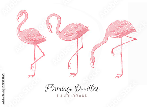 Hand drawn cartoon pink flamingo set. Cute flamingos collection. Flamingo animal exotic, nature wild fauna illustration
