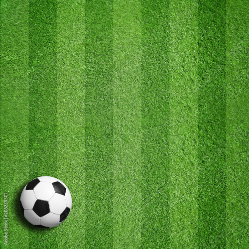 Fußball auf Rasen 