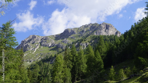 Carinthia Mountain