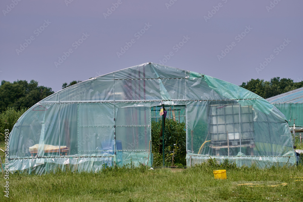 Hothouse covered with plastic