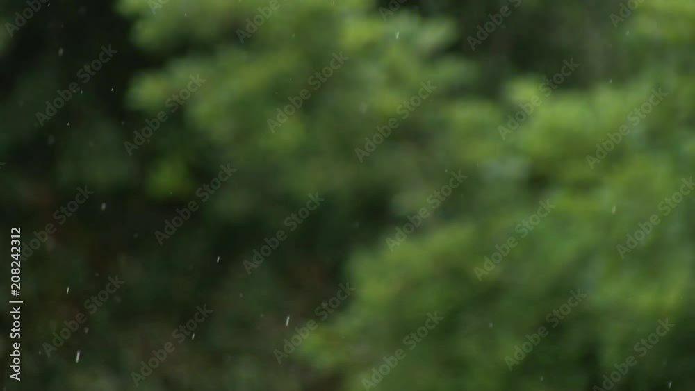 RAIN FOCUSED, BACKGROUND DEFOCUSED