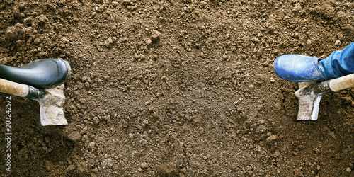 Fotografi Agricultural concept with a copy space