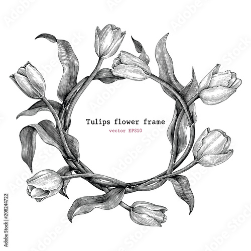 Tulips frame hand drawing vintage clip art