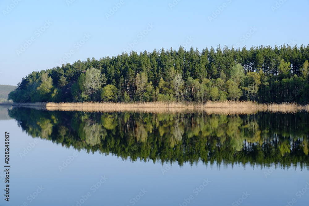 reflection of the forest in the lake