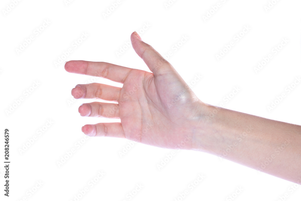 Open woman hand on white background Open woman hand on white background