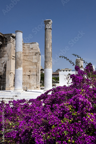 Greece, Athens, near Monastiraki: Ancient ruin columns at the entrance of famous Hadrian's Library in the city center of the Greek capital with colorful magenta plant and blue sky - concept history.