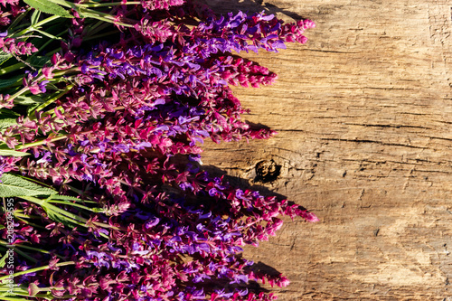 Fototapeta Naklejka Na Ścianę i Meble -  Purple salvia flowers on rustic wooden background. Top view, copy space