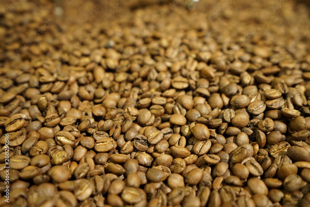 Roasted Beans 1 Roasted Beans 1