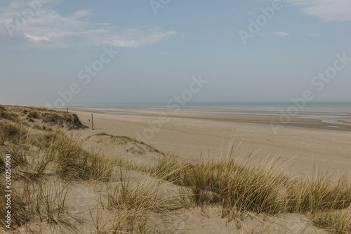 scenic shot of sandy seashore, Bray Dunes, France