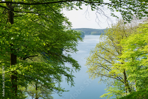 Frühling am See Schmaler Luzin in Feldberg - Mecklenburgische Seenplatte photo