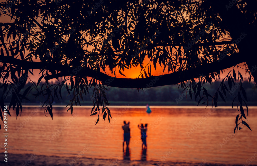 Fototapeta premium sunset over the river