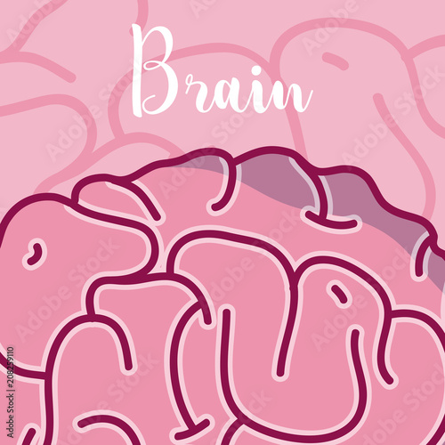 Brain and intelligence concept