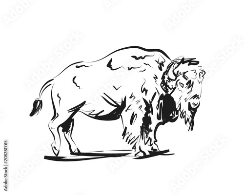 Vector sketch of a bison