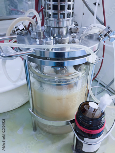 Ethanol fermentation using yeast in laboratory fermentor or fermenter