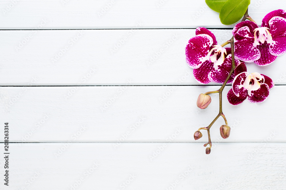 Orchid on a wooden background. Spa and wellnes scene. - obrazy, fototapety, plakaty 