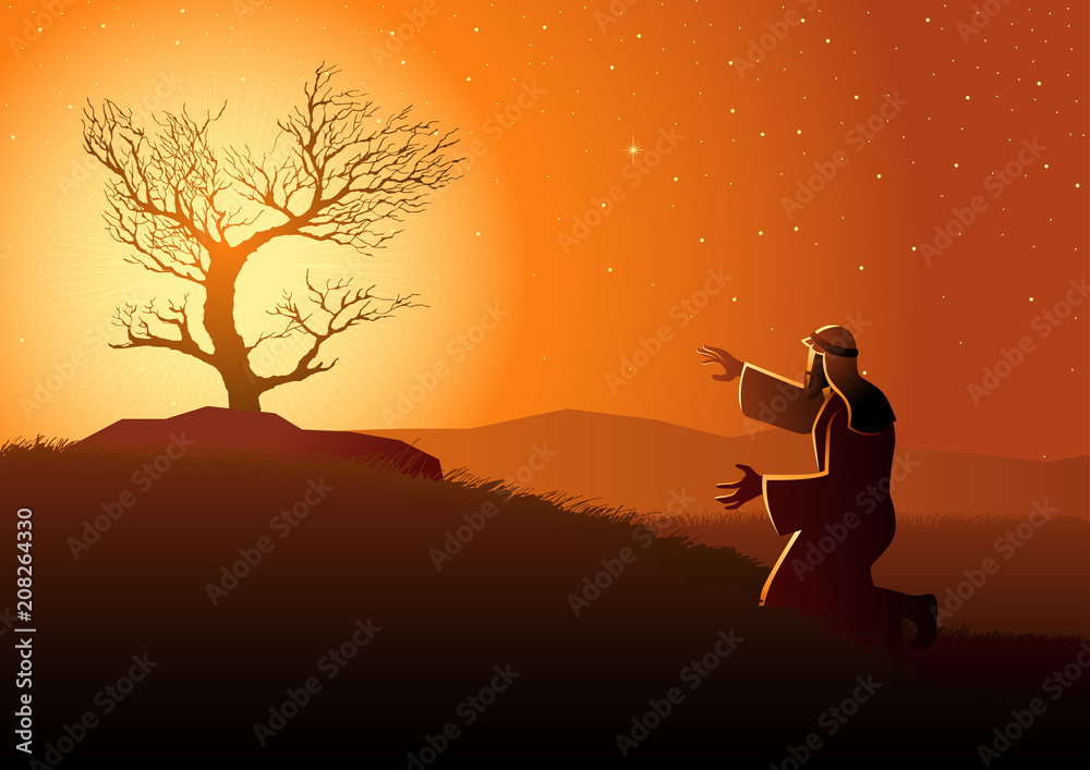 Fototapeta premium The Burning Bush