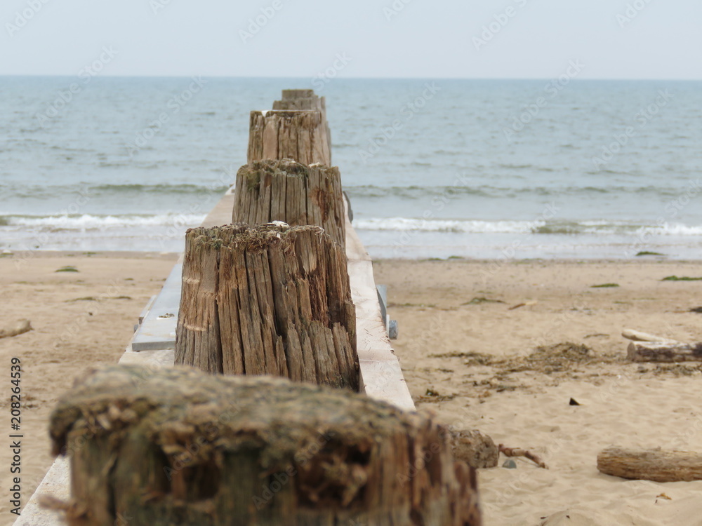 Dawlish Warren Nature Reserve beach shells and sea