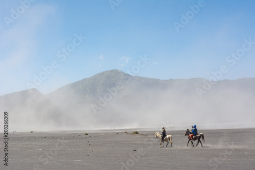 Horses in the sea of sand, Indonesia