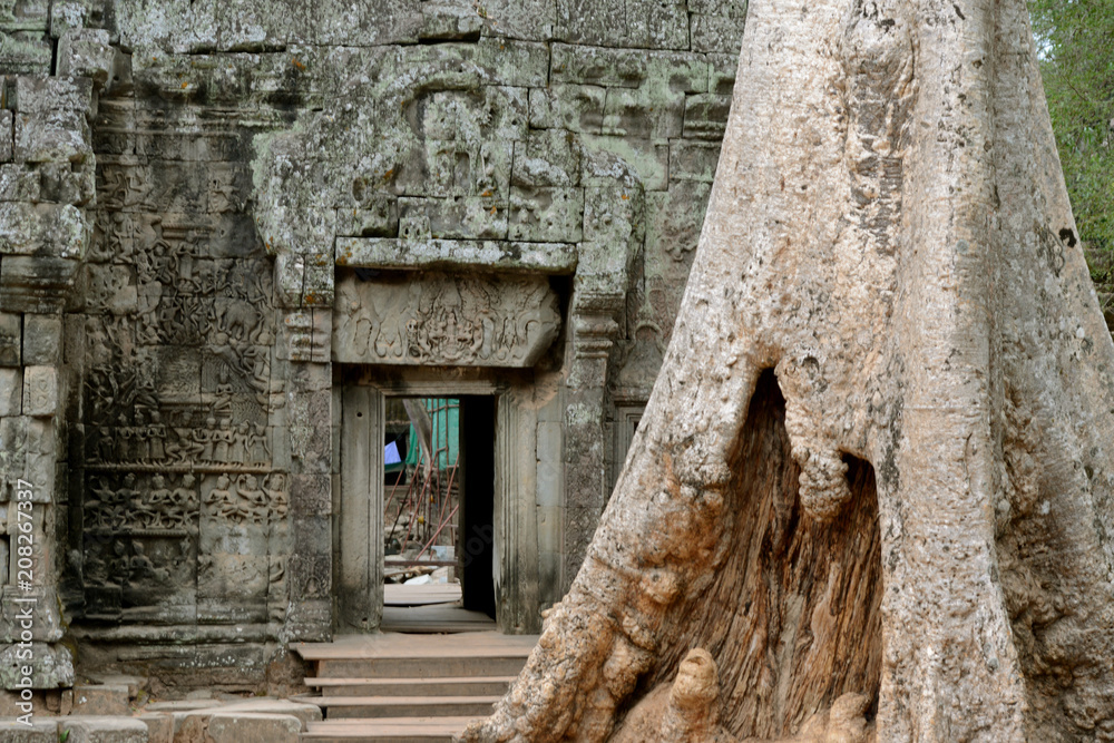 Fototapeta premium CAMBODIA SIEM REAP ANGKOR PREAH KHAN