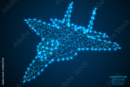 Fighter consisting of 3D triangles, lines, points and connections. Vector illustration of EPS 10.
